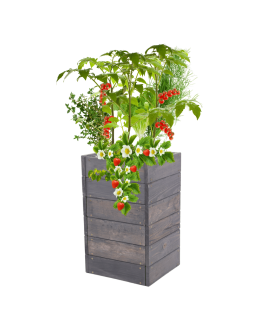 Skrzynia na warzywa skrzynie na warzywniak inspekt donica grządka 54x33x30 - product 2