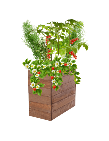 Skrzynia na warzywa skrzynie na warzywniak inspekt donica grządka 54x63x30 - produkt 2