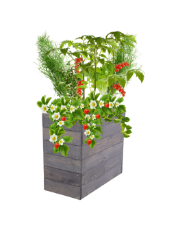 Skrzynia na warzywa skrzynie na warzywniak inspekt donica grządka 54x63x30 - product 2