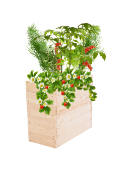 Skrzynia na warzywa skrzynie na warzywniak inspekt donica grządka 54x63x30 - product 2