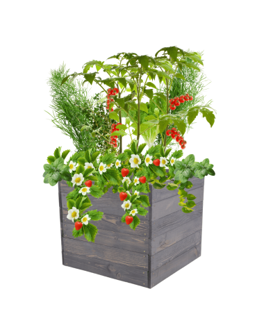 Skrzynia na warzywa skrzynie na warzywniak inspekt donica grządka 54x83x60 - produkt 2