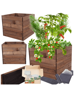 Skrzynia na warzywa skrzynie na warzywniak inspekt donica grządka 54x83x80