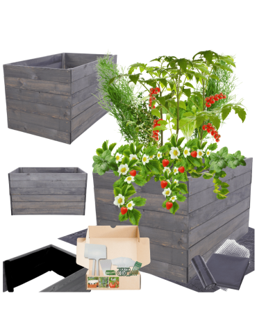 Skrzynia na warzywa skrzynie na warzywniak inspekt donica grządka 54x83x80