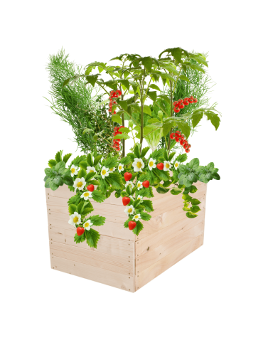 Skrzynia na warzywa skrzynie na warzywniak inspekt donica grządka 54x93x60 - product 2