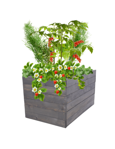 Skrzynia na warzywa skrzynie na warzywniak inspekt donica grządka 54x93x90 - produkt 2