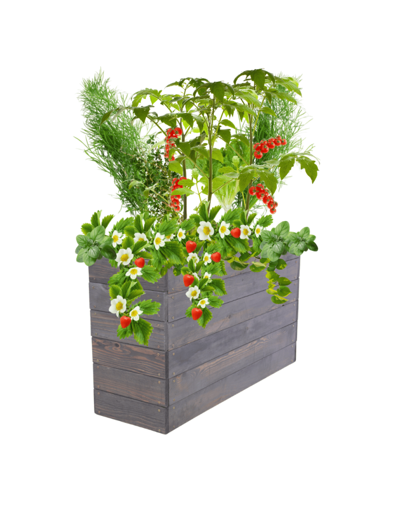 Uprawowe skrzynie ogrodowe- Warzywniaki- skrzynia do uprawy - Skrzynia na warzywa skrzynie na warzywniak inspekt donica grządka 54x103x30 - product b2b.wamar.biz 2