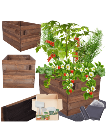 Skrzynia na warzywa skrzynie na warzywniak inspekt donica grządka 54x103x90