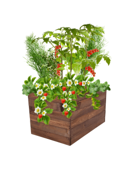 Skrzynia na warzywa skrzynie na warzywniak inspekt donica grządka 54x103x90 - product 2