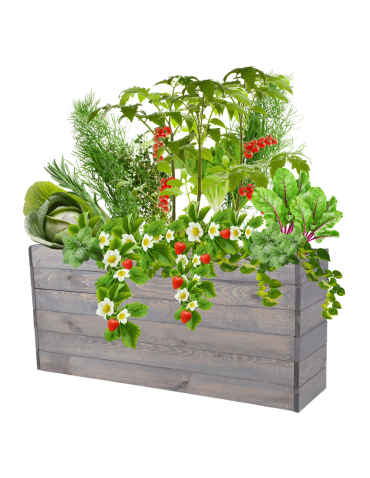 Skrzynia na warzywa skrzynie na warzywniak inspekt donica grządka 54x120x30 - product 2