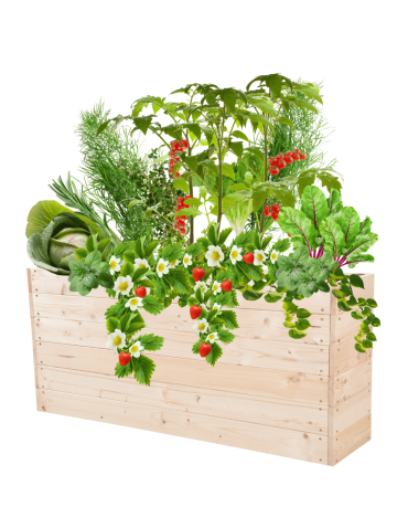 Skrzynia na warzywa skrzynie na warzywniak inspekt donica grządka 54x120x30 - product 2