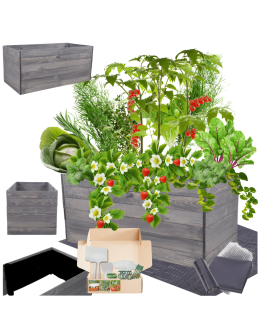 Skrzynia na warzywa skrzynie na warzywniak inspekt donica grządka 54x120x80