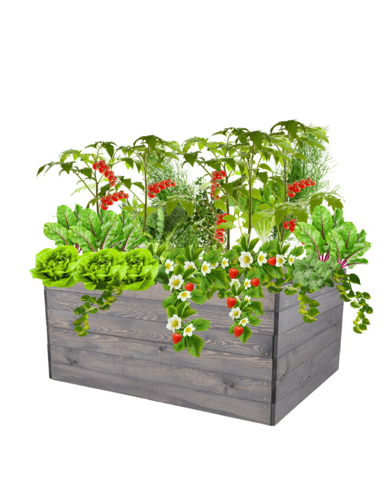 Uprawowe skrzynie ogrodowe- Warzywniaki- skrzynia do uprawy - Skrzynia na warzywa skrzynie na warzywniak inspekt donica grządka 54x120x90 - product b2b.wamar.biz 2