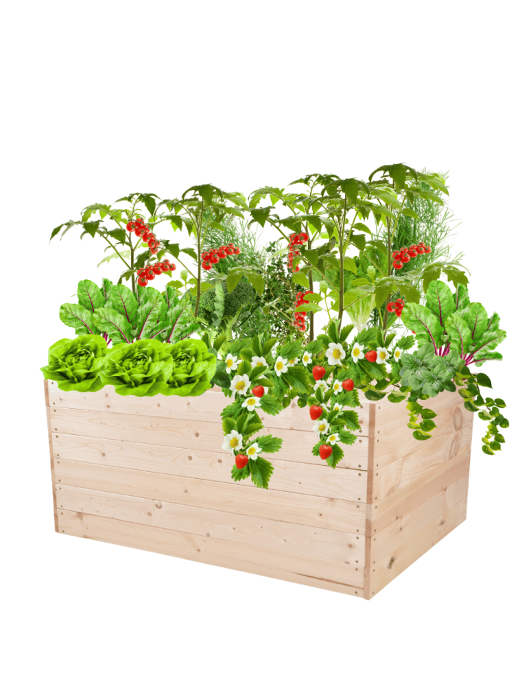 Uprawowe skrzynie ogrodowe- Warzywniaki- skrzynia do uprawy - Skrzynia na warzywa skrzynie na warzywniak inspekt donica grządka 54x120x90 - product b2b.wamar.biz 2