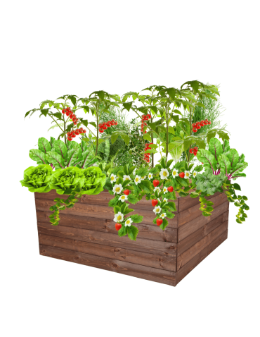 Skrzynia na warzywa skrzynie na warzywniak inspekt donica grządka 54x120x117 - produkt 2