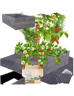 Skrzynia na warzywa skrzynie na warzywniak inspekt donica grządka 27x63x60