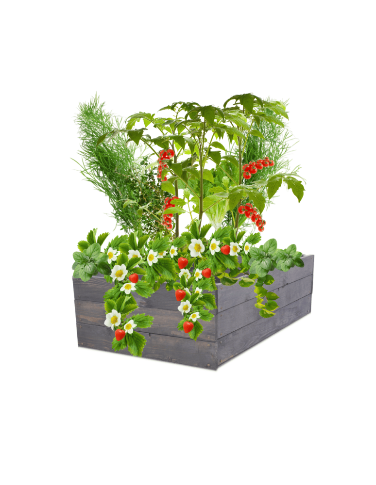 Uprawowe skrzynie ogrodowe- Warzywniaki- skrzynia do uprawy - Skrzynia na warzywa skrzynie na warzywniak inspekt donica grządka 27x63x60 - product b2b.wamar.biz 2