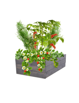 Skrzynia na warzywa skrzynie na warzywniak inspekt donica grządka 27x63x60 - product 2