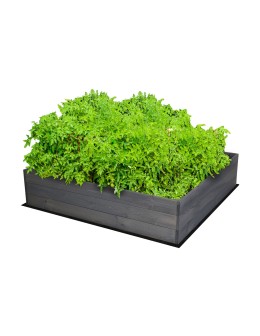 Skrzynia na warzywa skrzynie na warzywniak inspekt donica grządka 27x83x60 - product 2