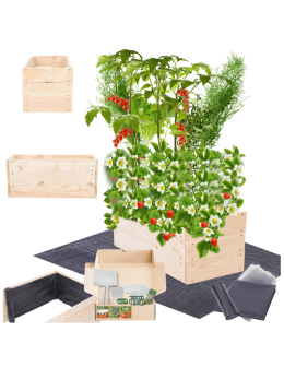 Skrzynia na warzywa skrzynie na warzywniak inspekt donica grządka 27x103x30