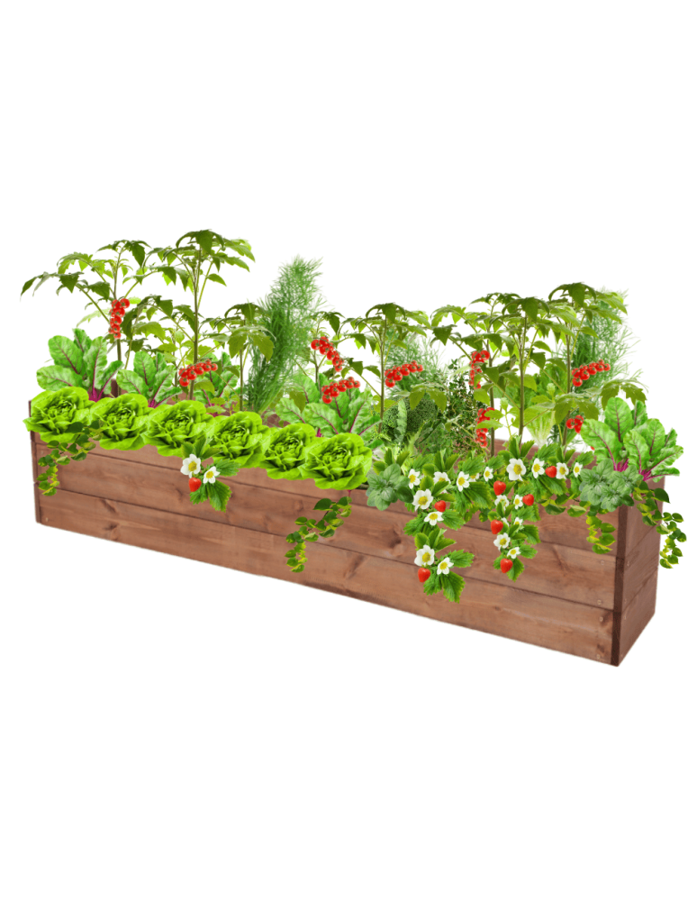 Uprawowe skrzynie ogrodowe- Warzywniaki- skrzynia do uprawy - Skrzynia na warzywa skrzynie na warzywniak inspekt donica grządka 27x120x30 - product b2b.wamar.biz 2