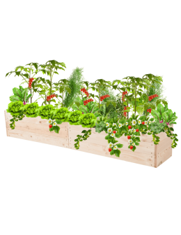 Skrzynia na warzywa skrzynie na warzywniak inspekt donica grządka 27x163x30 - product 2