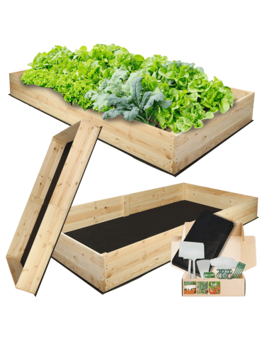 Uprawowe skrzynie ogrodowe- Warzywniaki- skrzynia do uprawy - Skrzynia na warzywa skrzynie na warzywniak inspekt donica grządka 27x240x100 - product 5