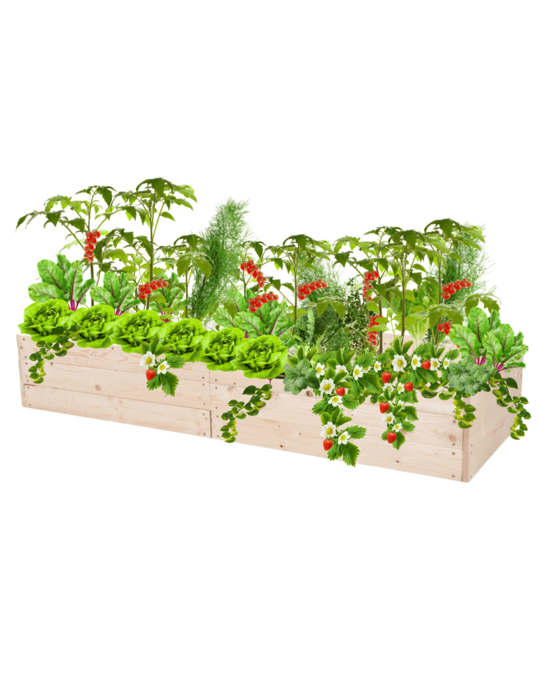 Uprawowe skrzynie ogrodowe- Warzywniaki- skrzynia do uprawy - Skrzynia na warzywa skrzynie na warzywniak inspekt donica grządka 27x163x90 - product b2b.wamar.biz 2