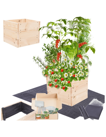 Skrzynia na warzywa skrzynie na warzywniak inspekt donica grządka 27x30x30