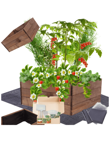 Skrzynia na warzywa skrzynie na warzywniak inspekt donica grządka 27x60x60