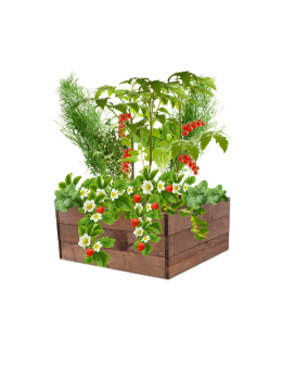 Skrzynia na warzywa skrzynie na warzywniak inspekt donica grządka 27x60x60 - product 2