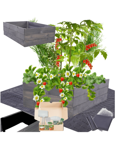 Skrzynia na warzywa skrzynie na warzywniak inspekt donica grządka 27x60x60