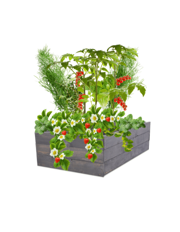 Skrzynia na warzywa skrzynie na warzywniak inspekt donica grządka 27x60x60 - product 2