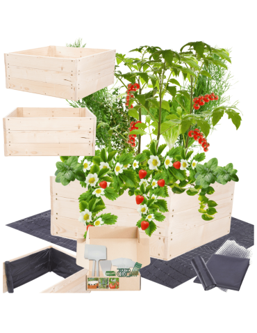 Skrzynia na warzywa skrzynie na warzywniak inspekt donica grządka 27x60x60