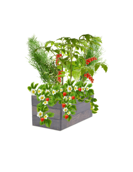 Skrzynia na warzywa skrzynie na warzywniak inspekt donica grządka 27x90x30 - product 2