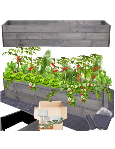 Skrzynia na warzywa skrzynie na warzywniak inspekt donica grządka 27x120x30