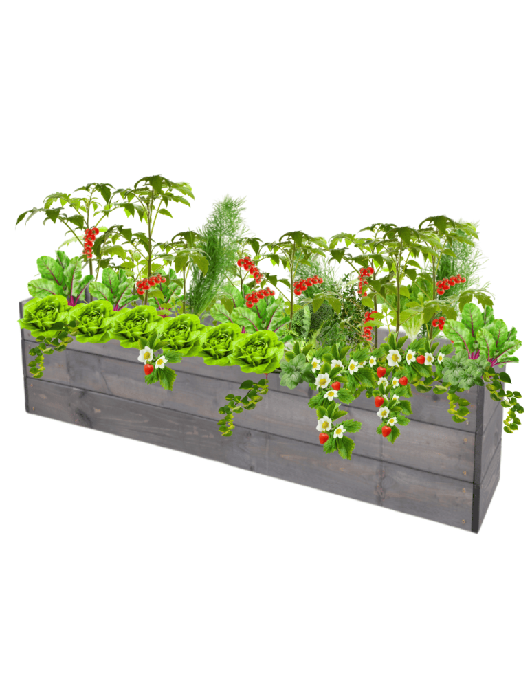 Uprawowe skrzynie ogrodowe- Warzywniaki- skrzynia do uprawy - Skrzynia na warzywa skrzynie na warzywniak inspekt donica grządka 27x120x30 - product b2b.wamar.biz 2