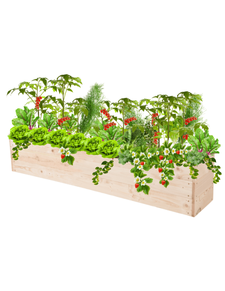 Uprawowe skrzynie ogrodowe- Warzywniaki- skrzynia do uprawy - Skrzynia na warzywa skrzynie na warzywniak inspekt donica grządka 27x120x30 - produkt b2b.wamar.biz 2