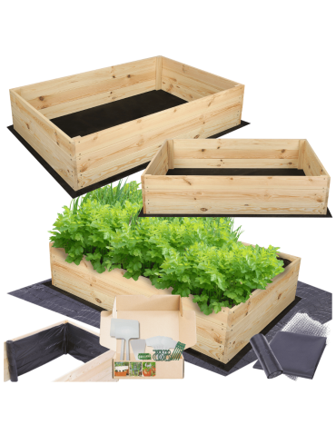 Skrzynia na warzywa skrzynie na warzywniak inspekt donica grządka 27x120x100