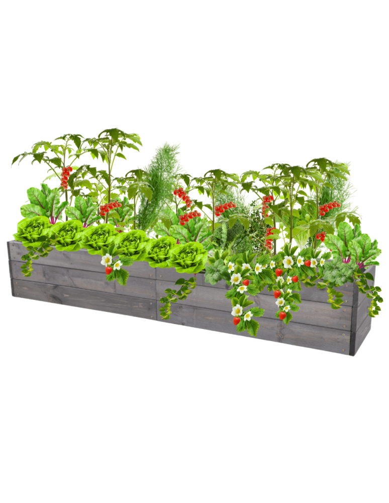 Uprawowe skrzynie ogrodowe- Warzywniaki- skrzynia do uprawy - Skrzynia na warzywa skrzynie na warzywniak inspekt donica grządka 27x160x30 - product b2b.wamar.biz 2