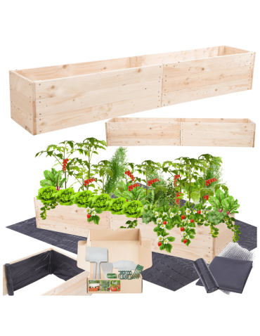 Skrzynia na warzywa skrzynie na warzywniak inspekt donica grządka 27x160x30