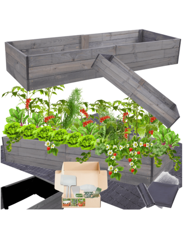 Skrzynia na warzywa skrzynie na warzywniak inspekt donica grządka 27x160x60