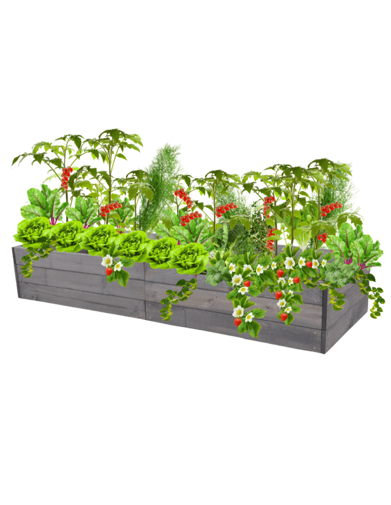 Uprawowe skrzynie ogrodowe- Warzywniaki- skrzynia do uprawy - Skrzynia na warzywa skrzynie na warzywniak inspekt donica grządka 27x160x60 - product b2b.wamar.biz 2