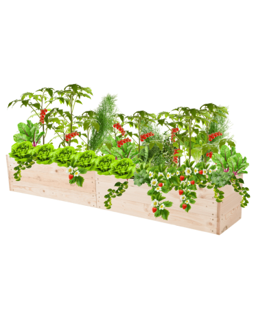 Skrzynia na warzywa skrzynie na warzywniak inspekt donica grządka 27x200x30 - product 2