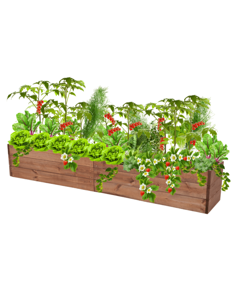 Uprawowe skrzynie ogrodowe- Warzywniaki- skrzynia do uprawy - Skrzynia na warzywa skrzynie na warzywniak inspekt donica grządka 27x240x30 - product b2b.wamar.biz 2