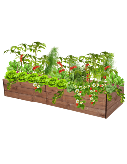 Skrzynia na warzywa skrzynie na warzywniak inspekt donica grządka 27x240x60 - product 2