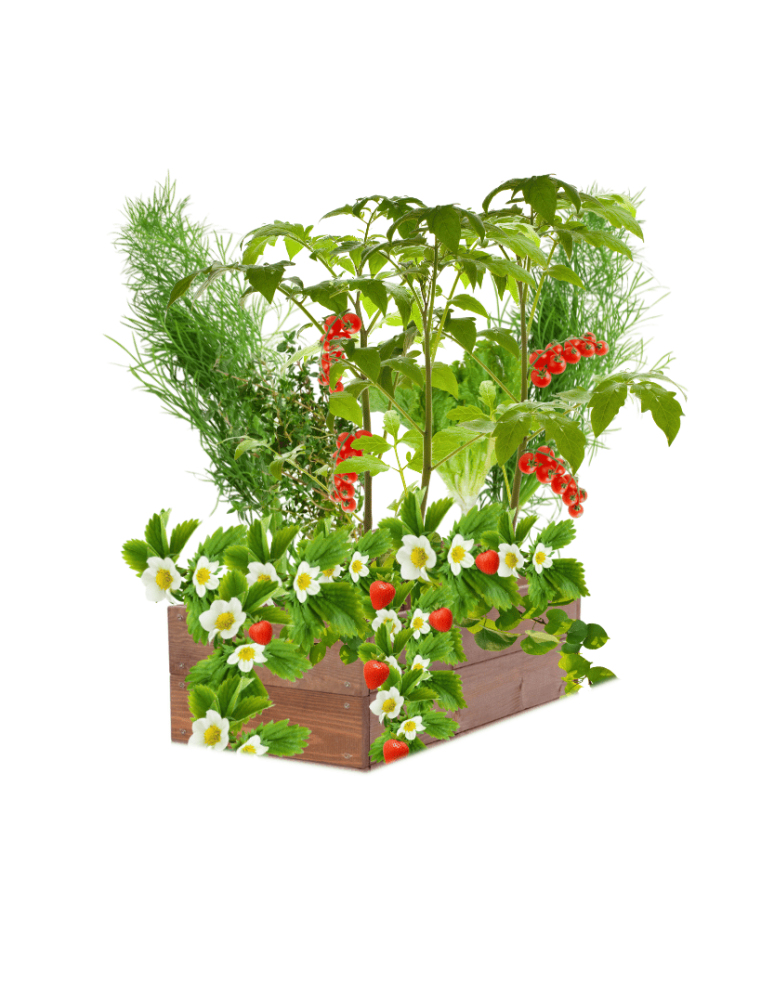 Helios Regały Ocynkowane - Regał metalowy ocynkowany HELIOS 106x180x40cm 3Px275kg - product b2b.wamar.biz 15