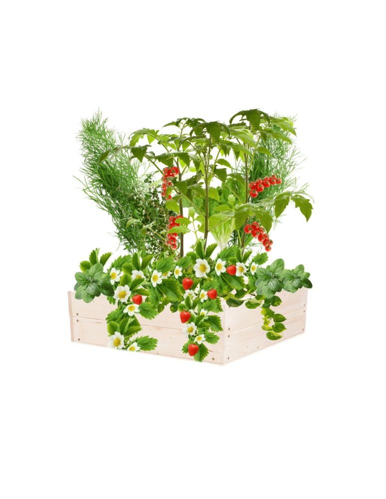 Uprawowe skrzynie ogrodowe- Warzywniaki- skrzynia do uprawy - Skrzynia na warzywa skrzynie na warzywniak inspekt donica grządka 18x83x60 - produkt b2b.wamar.biz 2