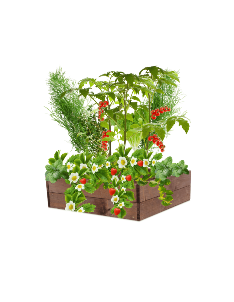 Uprawowe skrzynie ogrodowe- Warzywniaki- skrzynia do uprawy - Skrzynia na warzywa skrzynie na warzywniak inspekt donica grządka 18x93x60 - product b2b.wamar.biz 2