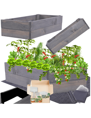 Skrzynia na warzywa skrzynie na warzywniak inspekt donica grządka 18x120x30