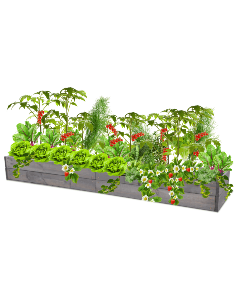 Uprawowe skrzynie ogrodowe- Warzywniaki- skrzynia do uprawy - Skrzynia na warzywa skrzynie na warzywniak inspekt donica grządka 18x163x30 - product b2b.wamar.biz 2